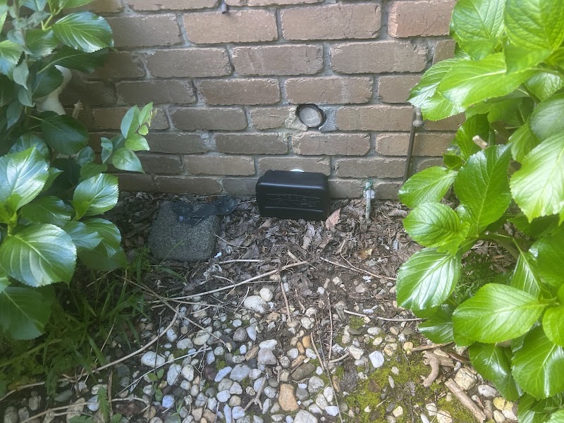 Area Specialist Pest & Wildlife Solutions project 6