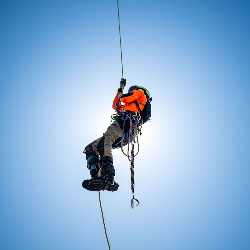 Ashgrove Tree Services photo 1
