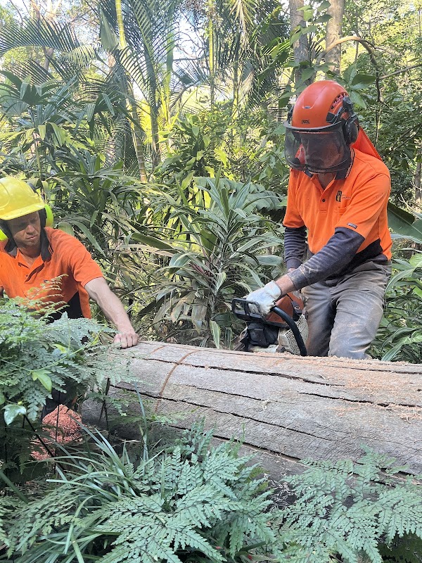 Ashgrove Tree Services photo 3