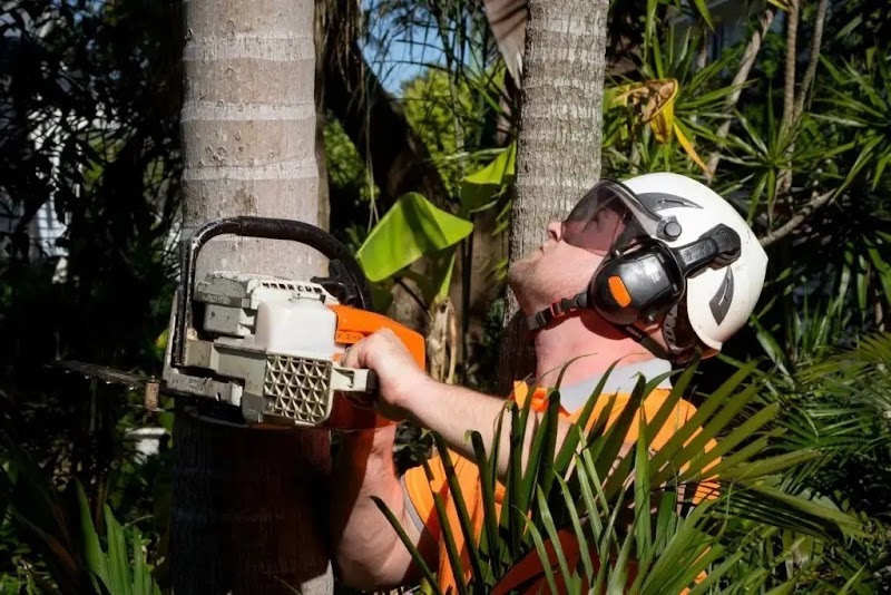 AUSSIE TREE REMOVAL DARWIN work 3