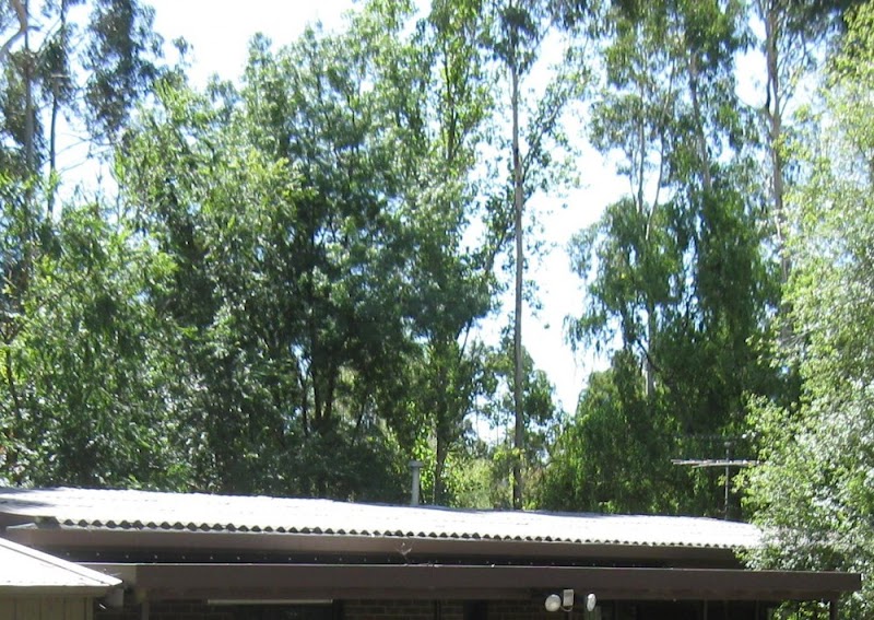Australian Home Roofing project 9