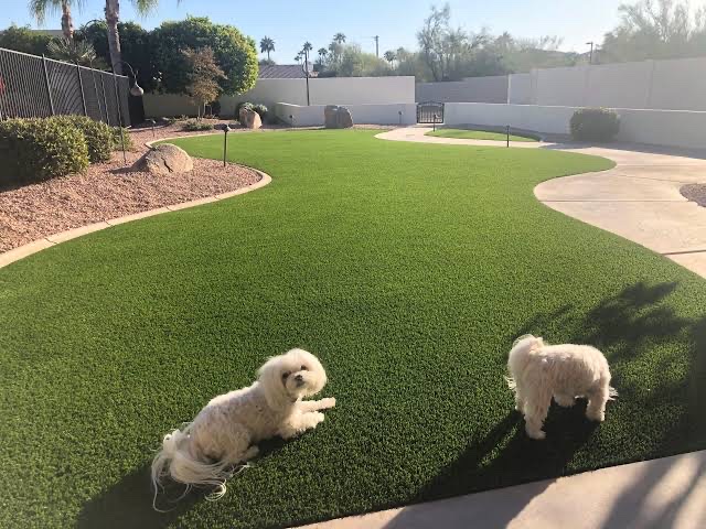 Auzzie Turf work 2