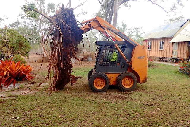 Ayr-Bowen Tree & Yardworx photo 3