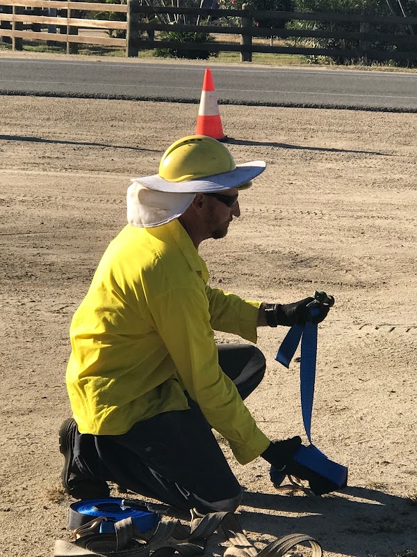 Ayr-Bowen Tree & Yardworx project 4
