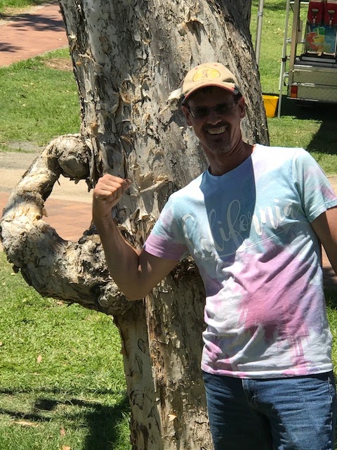 Ayr-Bowen Tree & Yardworx project 5