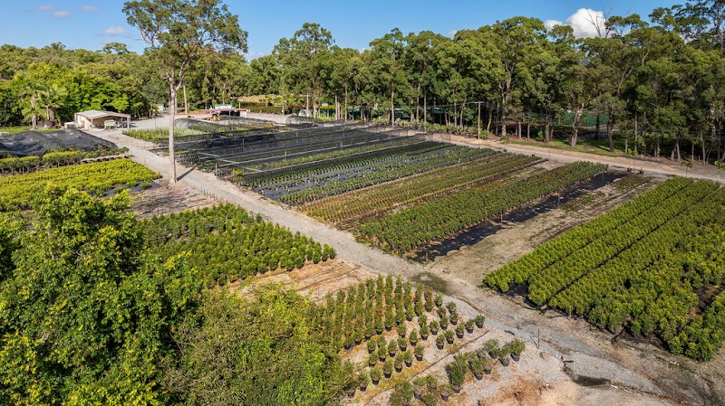 Barellan Nursery, Design & Landscaping work 1