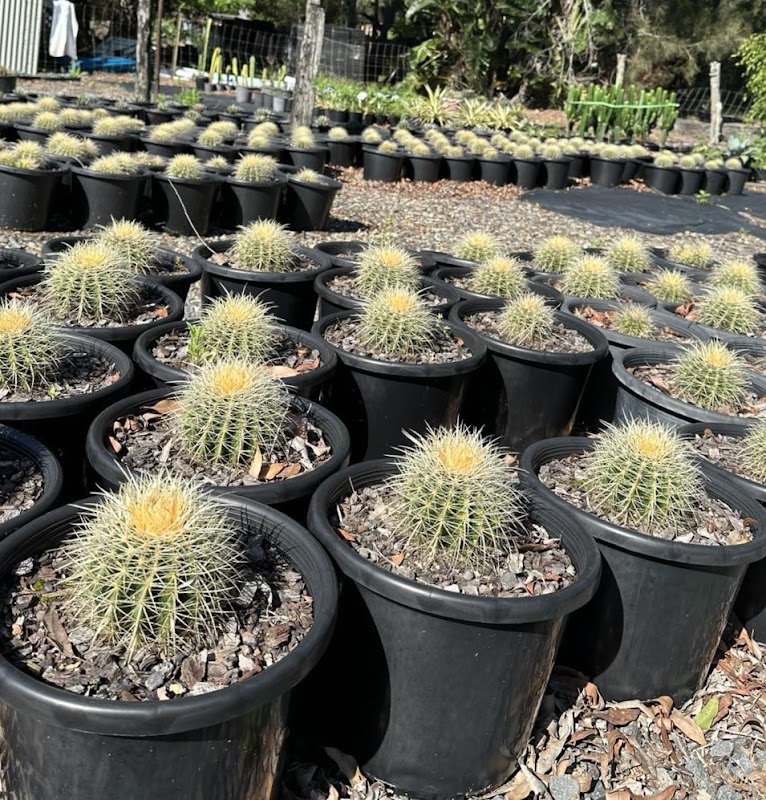 Barellan Nursery, Design & Landscaping work 4