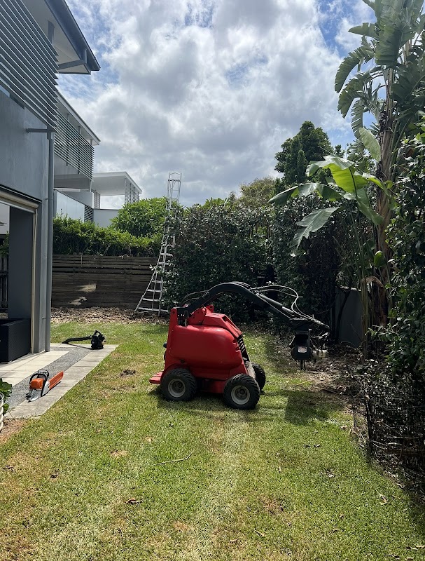 Bellamy's Gardens project 6