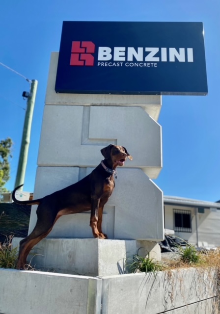 Benzini Precast Concrete project 6