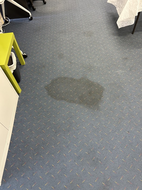 Best Choice Carpet Cleaning Services project 9