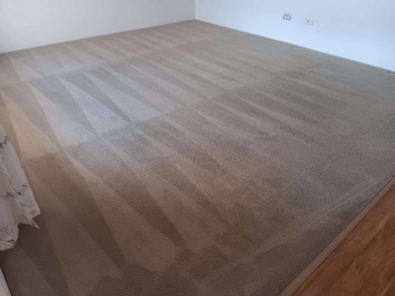 Best Choice Carpet Cleaning Services project 4