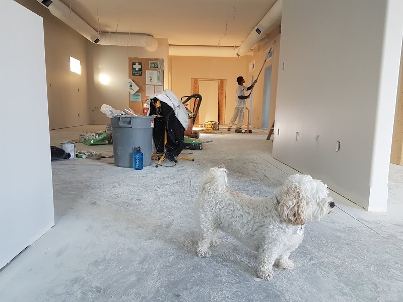 Best Mobile Cleaning Services work 2