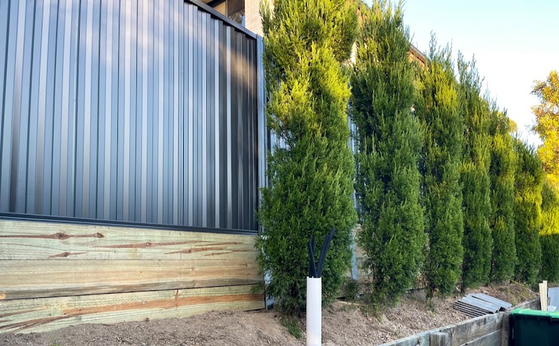 Best price fencing work 4