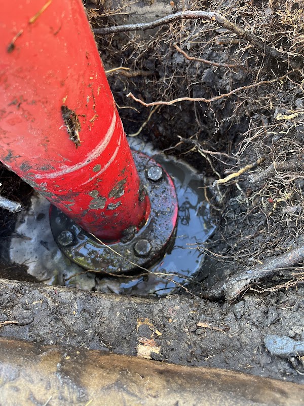 Better Plumbing Co project 6