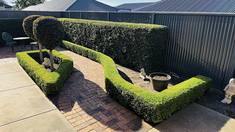 BJ Mowing project 7