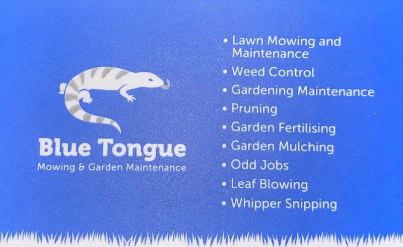 Blue Tongue Mowing & Garden Maintenance work 2