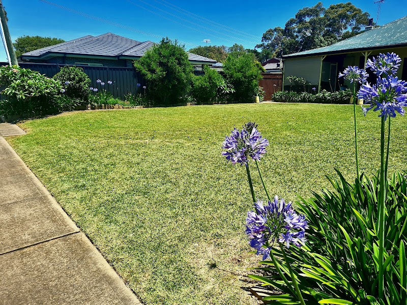 Blue Tongue Mowing & Garden Maintenance work 4