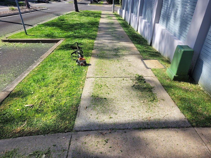 Blue Tongue Mowing & Garden Maintenance project 5