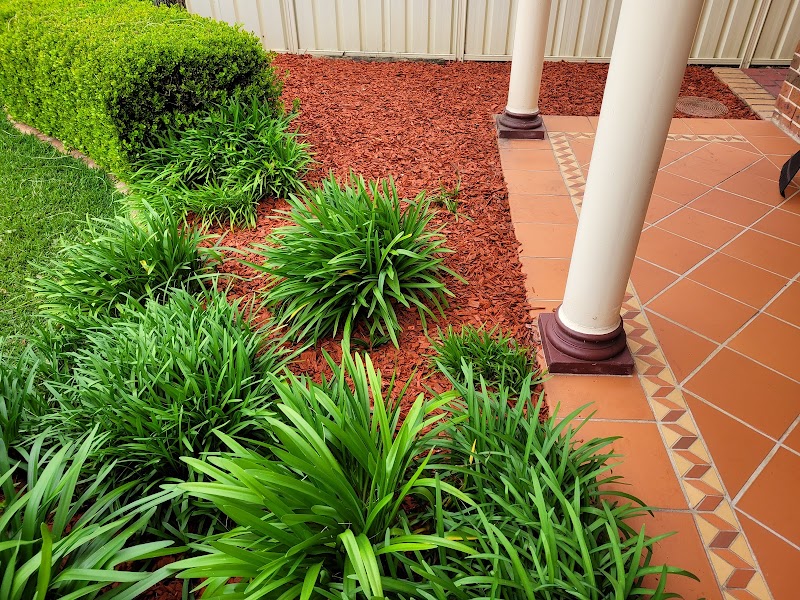 Blue Tongue Mowing & Garden Maintenance project 6