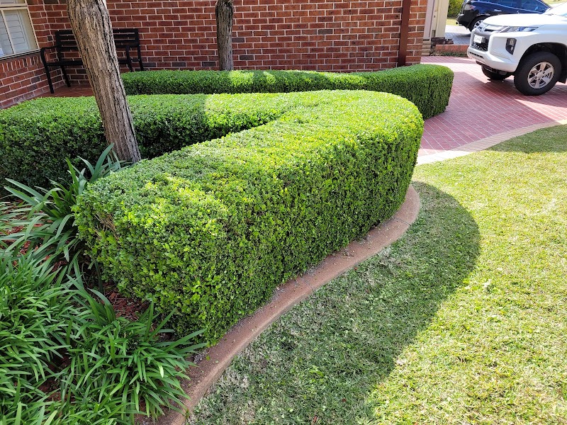 Blue Tongue Mowing & Garden Maintenance project 10