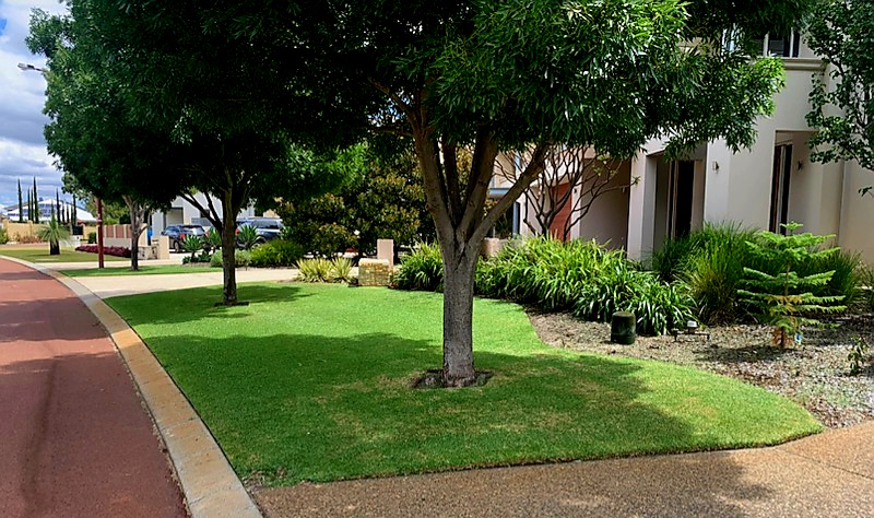 Bluegrass Lawnmowing project 5