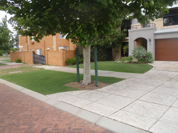 Bluegrass Lawnmowing project 7