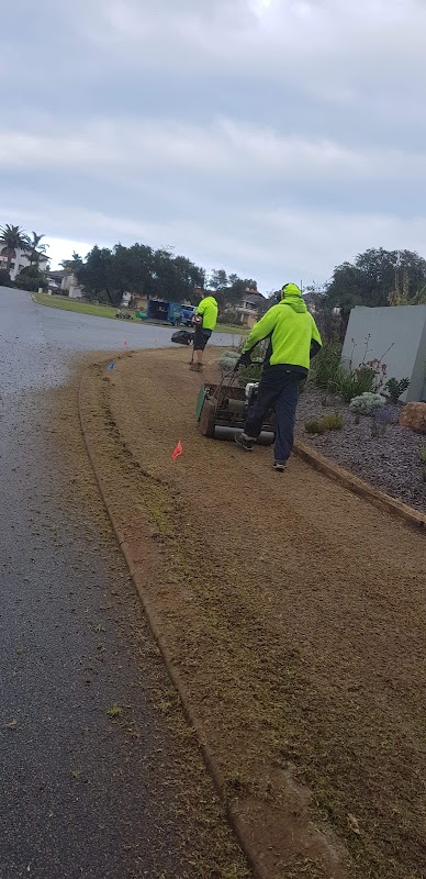 Bluegrass Lawnmowing project 8