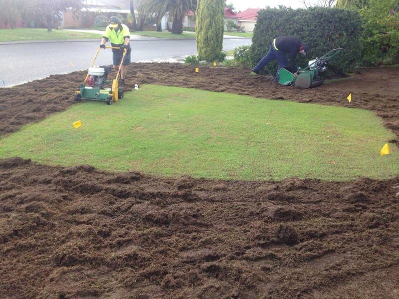Bluegrass Lawnmowing project 10