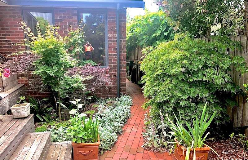BlueGum Horticulture & Landscape Design project 7
