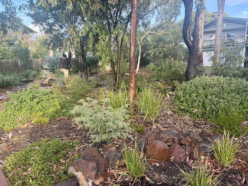 BlueGum Horticulture & Landscape Design project 8