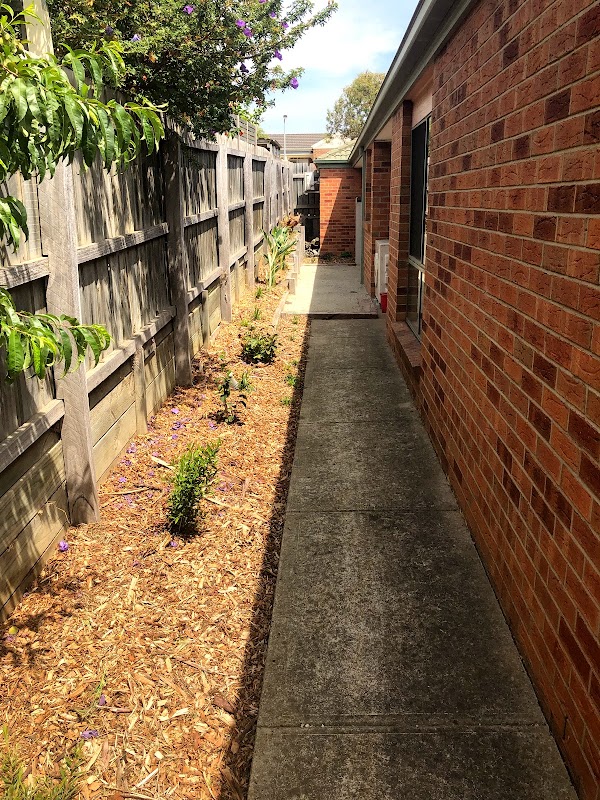 BlueGum Horticulture & Landscape Design project 10