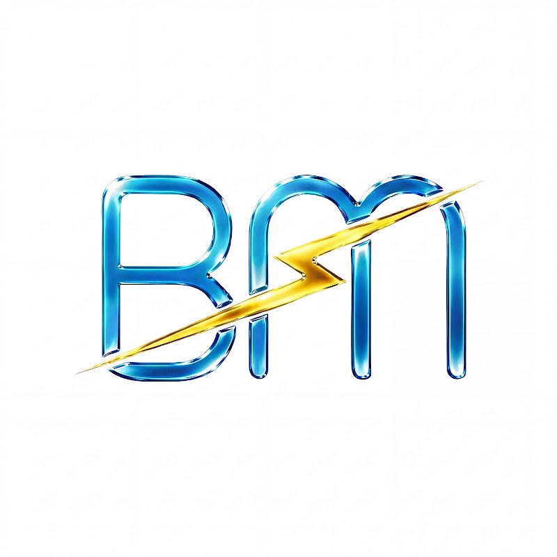 BM Electrical Group project 8