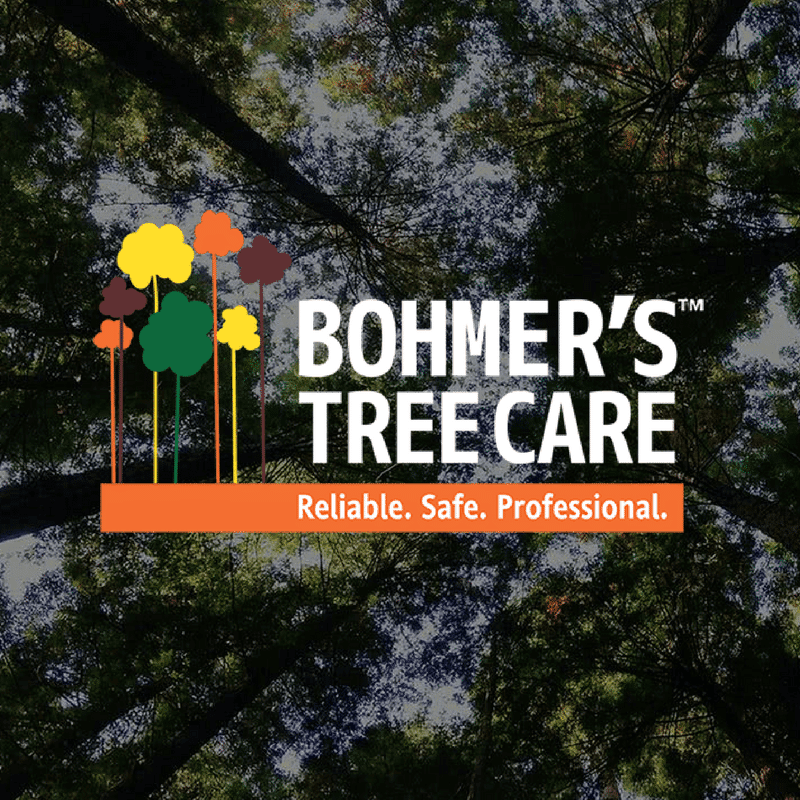 Bohmer's Tree Care photo 2
