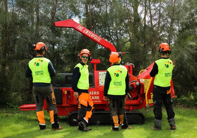 Bohmer's Tree Care project 4