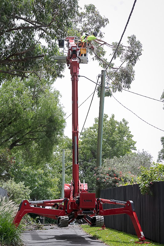 Bohmer's Tree Care project 6