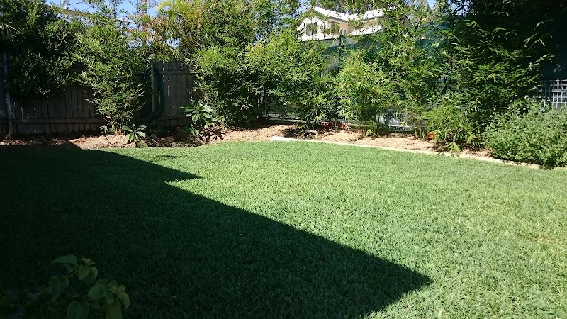 Bondi Gardener & Handyman work 2