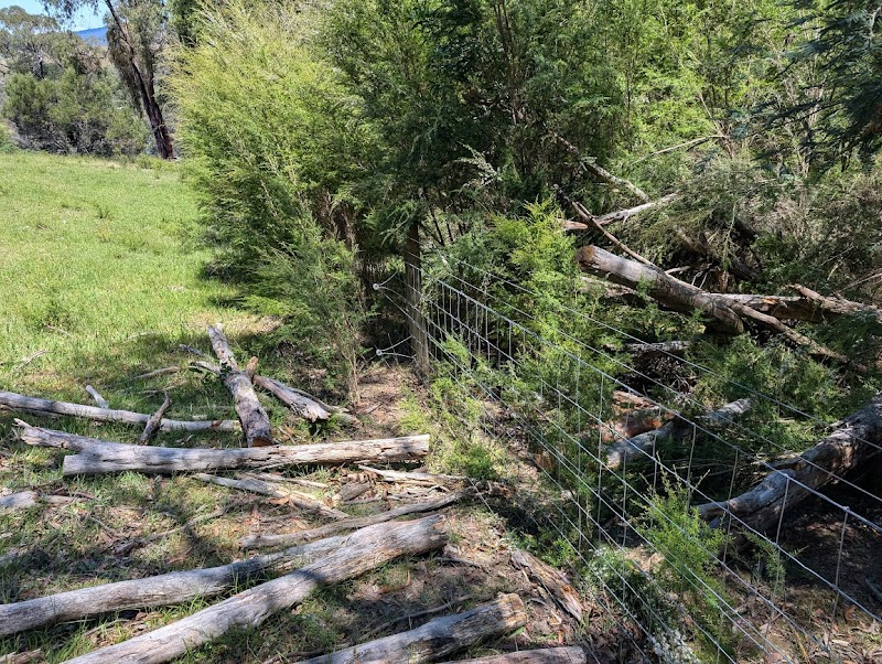 Boundary Pro Fencing project 5