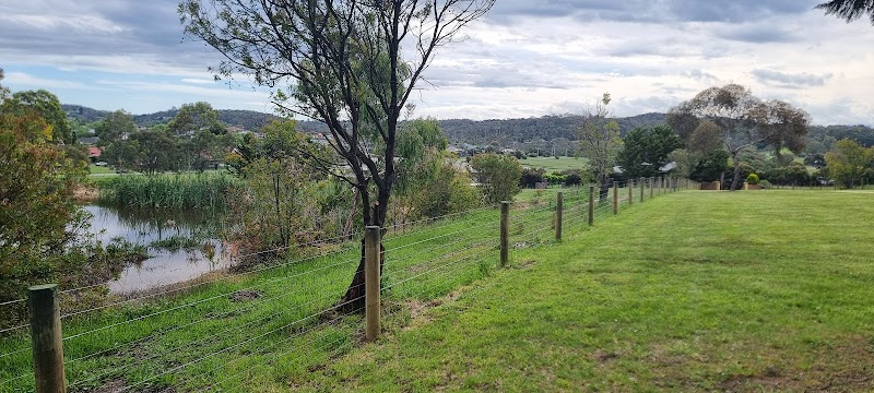 Boundary Pro Fencing project 6