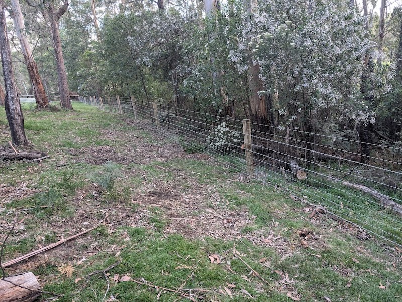Boundary Pro Fencing project 10
