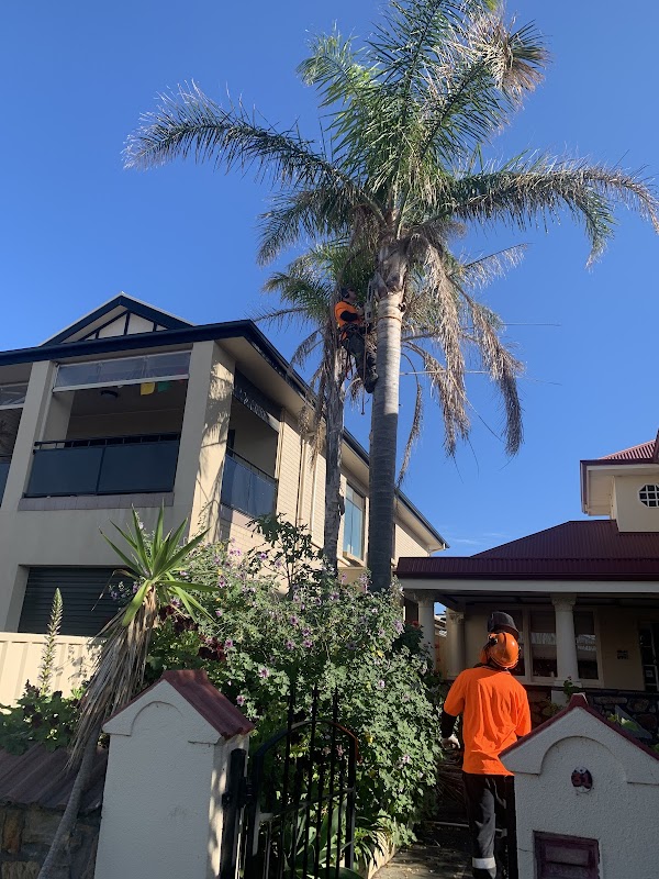 Bradleys Tree & Stump Removal work 4