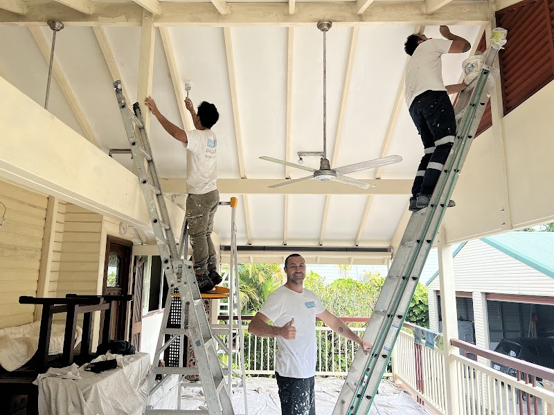 Brisbane Professional Painters work 1