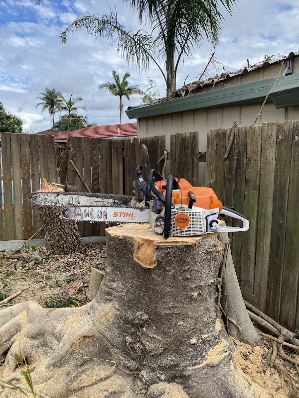 Brisbane Tree Experts | Tree Arborists & Tree Care Specialists work 2