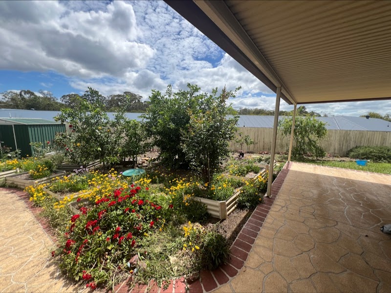 Brisbane Tree Experts | Tree Arborists & Tree Care Specialists project 6