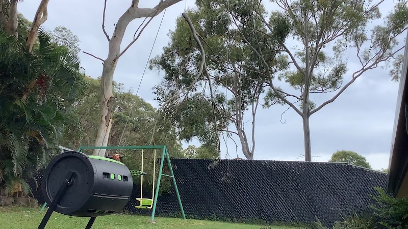 Brisbane Tree Experts | Tree Arborists & Tree Care Specialists project 9