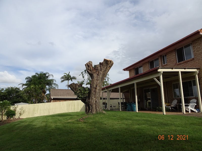 Brisbane Tree Experts | Tree Arborists & Tree Care Specialists project 10