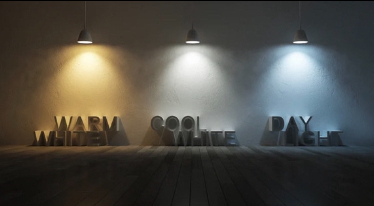 Brown & Co Electrical project 10