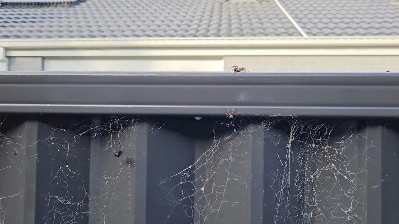 Buganator Pest and Termite Control project 9
