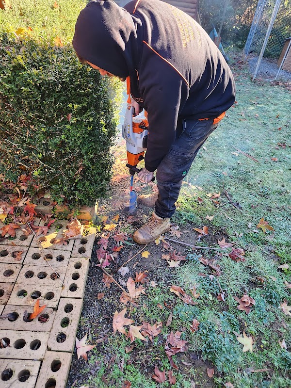 Buganator Pest and Termite Control project 10