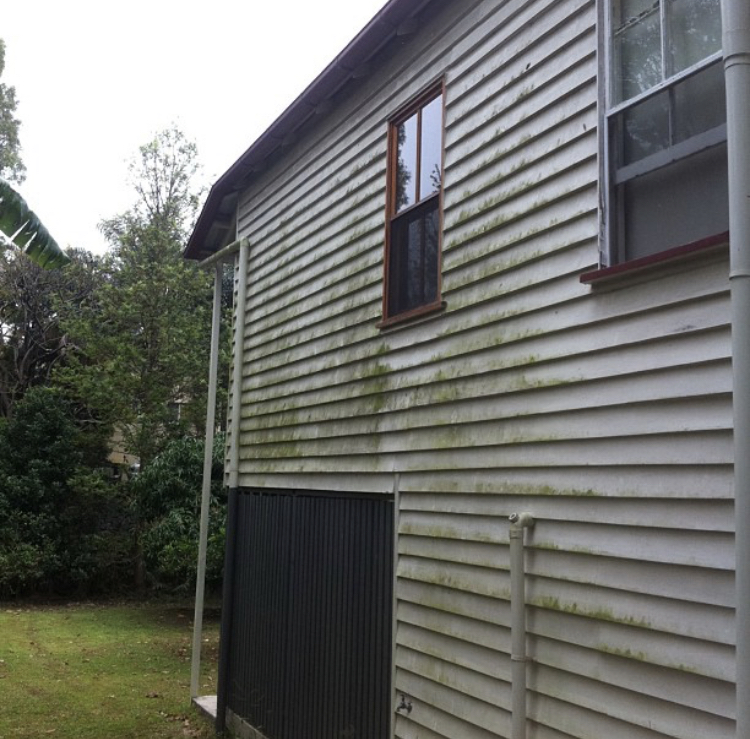 Bulimba House Washing project 8