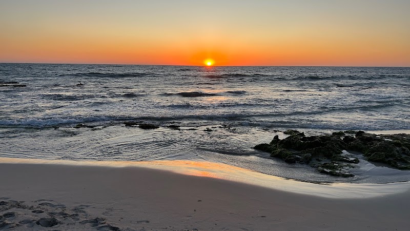 Busy Bee’s Plumbing & Gas photo 1